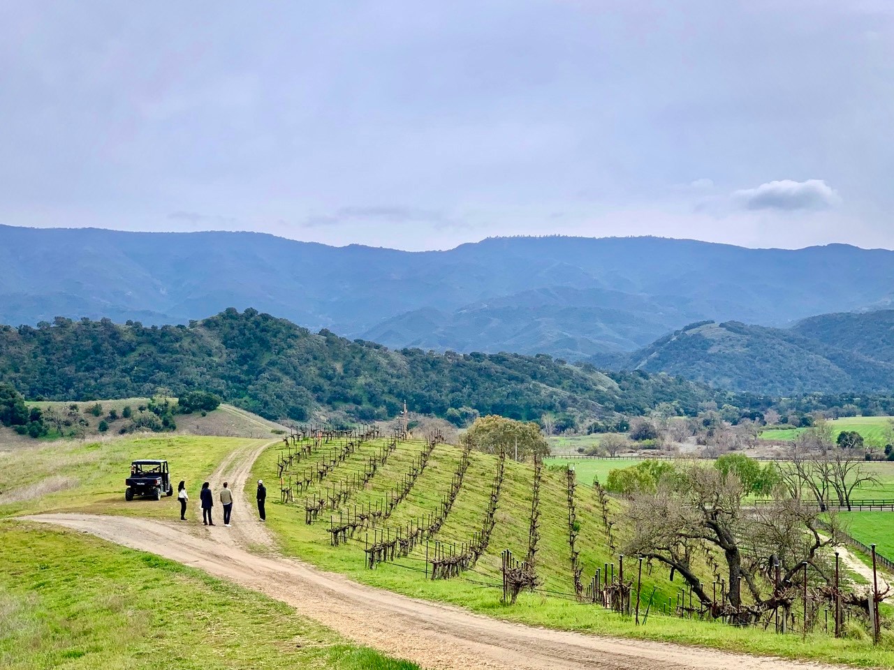 Santa Barbara vineyard tour with visitors, hills, and mountains.